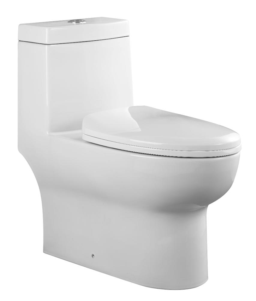 Casa One Piece WC,Bravat, Water Closets-W.C-Toilets ,Floor Standing Toilets 