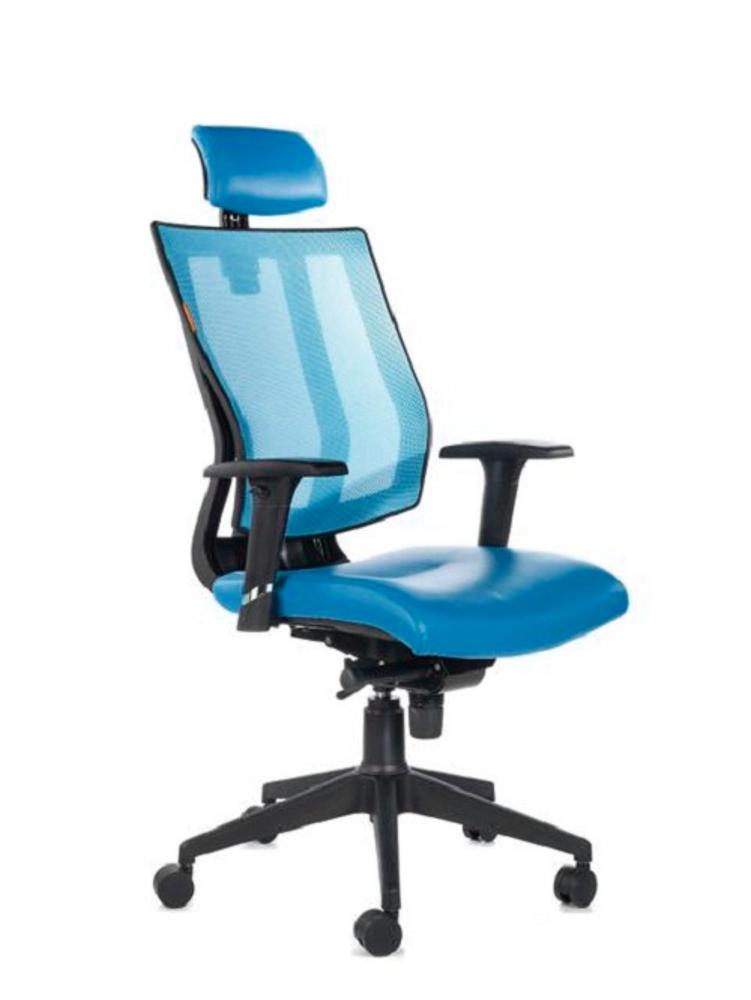 Promax High Back Office Chair,Bluebell, Promax, Chairs ,Revolving Chairs 