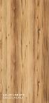 HORMIGO NATURALE,Laminates