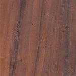 Sandal Wood,Laminates