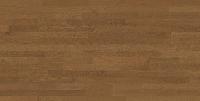 Oak Dune - Mikasa Pristine - Rustic,Wooden Flooring