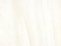 Wasum Walnut ,Laminates